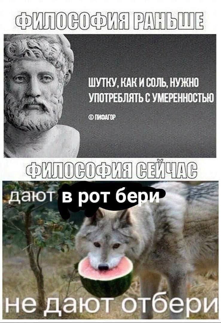ШУТКУ, КАК И СОЛЬ, НУЖНО УПОТРЕБЛЯТЬ С УМЕРЕННОСТЬЮ дают в рот не дают отбери