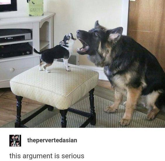 у GARDE? у. 2 4 thepervertedasian this argument is serious