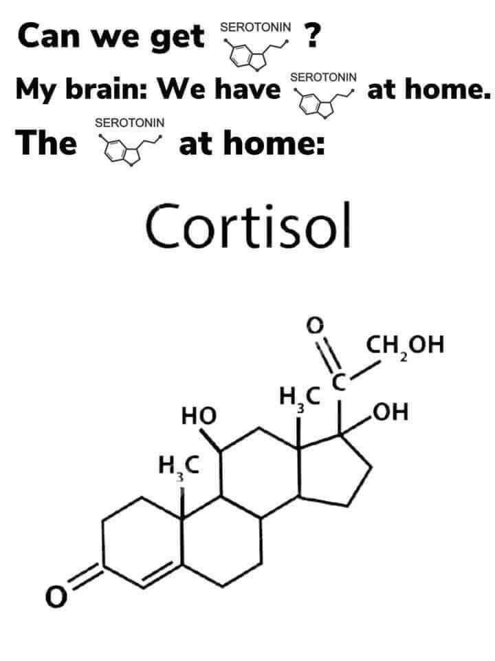 Can we get SEROTONIN SEROTONIN My brain: We have at home SEROTONIN The at home: Cortisol О С