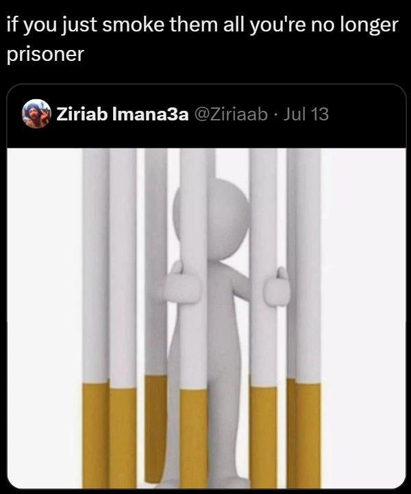 if you just smoke them all you're no longer prisoner Ziriab Imana3a @Ziriaab Jul 13