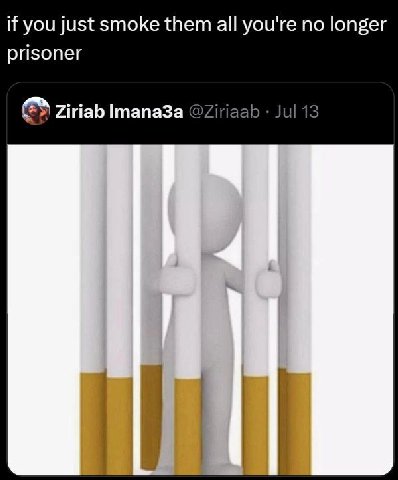 if you just smoke them all you're no longer prisoner Ziriab Imana3a @Ziriaab Jul 13