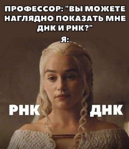 ПРОФЕССОР: "ВЫ МОЖЕТЕ НАГЛЯДНО ПОКАЗАТЬ МНЕ ДНКИРНК?" Я: РНК ДНК
