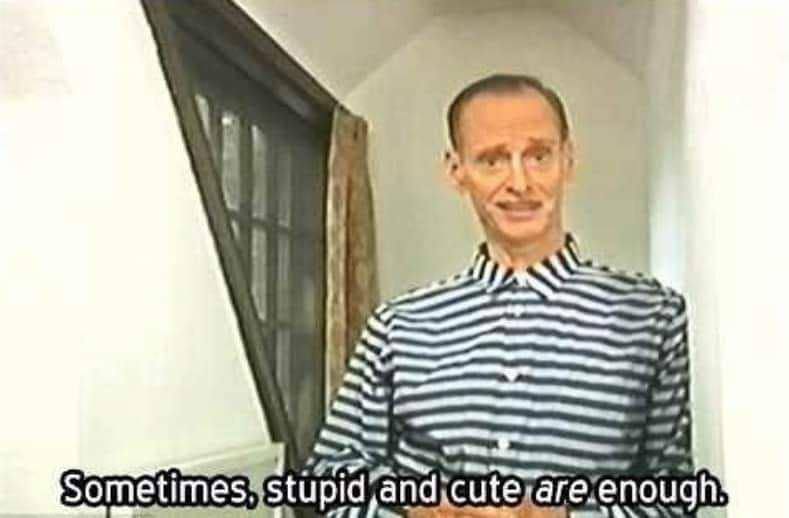 stupid enough