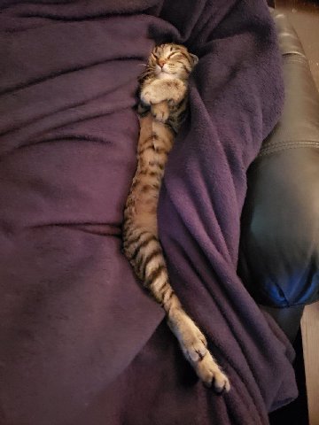 Споть. Режим