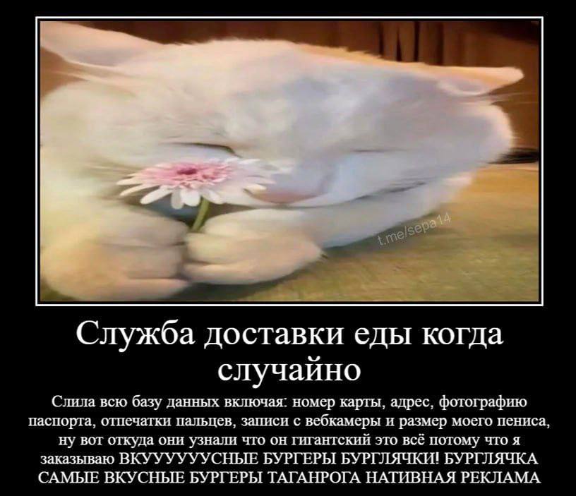 Служба доставки еды когда случайно Слила всю базу данных включая: номер карты, адрес, фотографию паспорта, отпечатки пальцев, записи с вебкамеры и размер моего пениса, ну вот откуда они узнали что он 