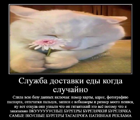 Служба доставки еды когда случайно Слила всю базу данных включая: номер карты, адрес, фотографию паспорта, отпечатки пальцев, записи с вебкамеры и размер моего пениса, ну вот откуда они узнали что он 