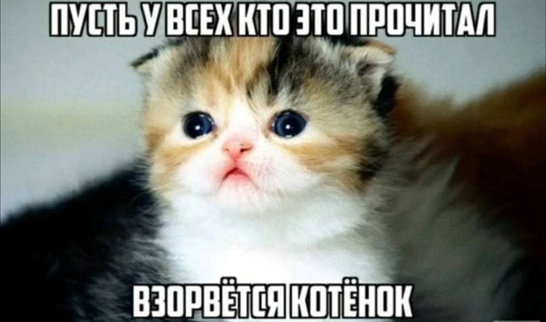 ПУСТЬЗУВСЕХ КТО ВЗОРВЕТСЯ КОТЕНОК