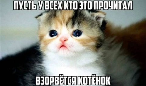 ПУСТЬЗУВСЕХ КТО ВЗОРВЕТСЯ КОТЕНОК