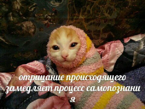 отрицание происходящего замедляет процесс самопознани Я