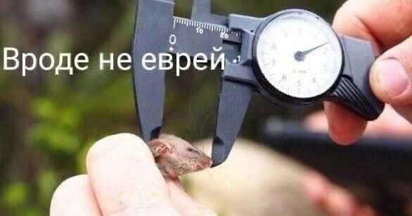 0 Вроде He еврей- a 4