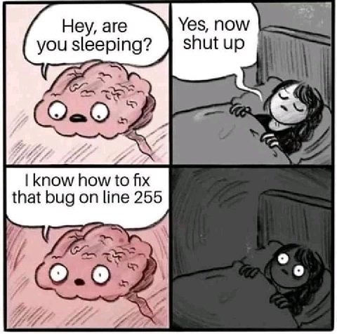 Неу, аге Yes, NOW you sleeping? 0.0 1 know how to fix that bug on line 255 A 27