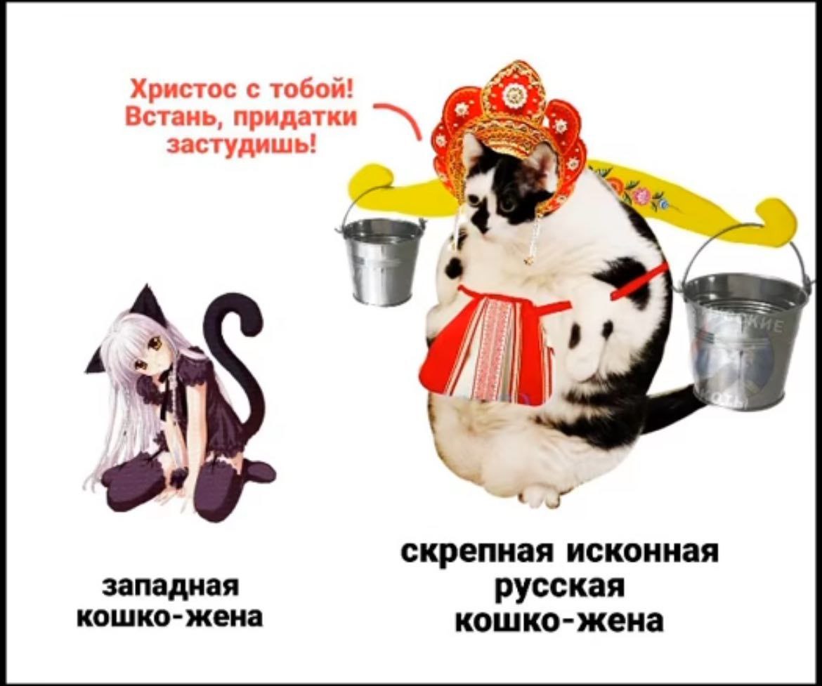 Христос с тобой! Встань, придатки застудишь! скрепная исконная западная русская кошко-жена кошко-жена