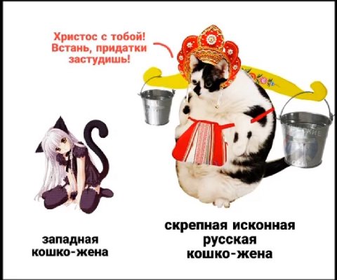 Христос с тобой! Встань, придатки застудишь! скрепная исконная западная русская кошко-жена кошко-жена