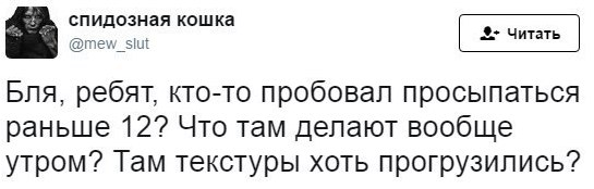 спидозная кошка @mew_slut Бля, ребят, кто-то пробовал просыпаться раньше 12? Что там делают вообще утром? Там текстуры хоть прогрузились?