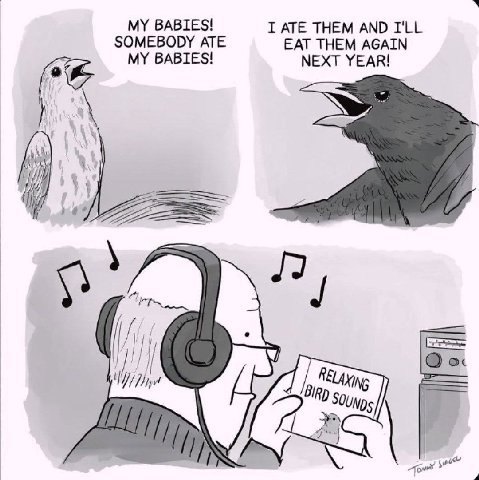 ВАВТЕ$! SOMEBODY ATE I ATE THEM AND I'LL MY BABIES! EAT THEM AGAIN NEXT YEAR! i a BIRD