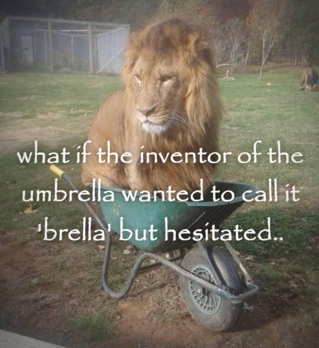 what if the inventor of the umbrella wanted to call it but