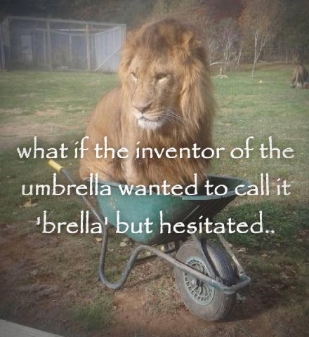 what if the inventor of the umbrella wanted to call it but
