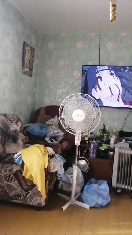 мем