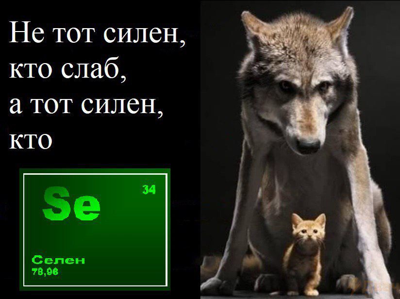 Не тот силен, кто слаб, а тот силен, кто