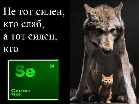 Не тот силен, кто слаб, а тот силен, кто