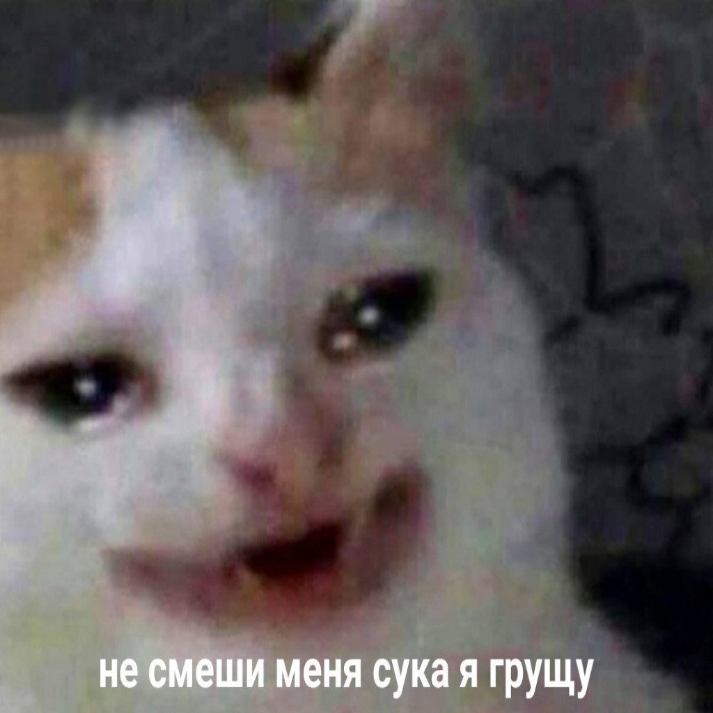 не смеши меня сука я грущу