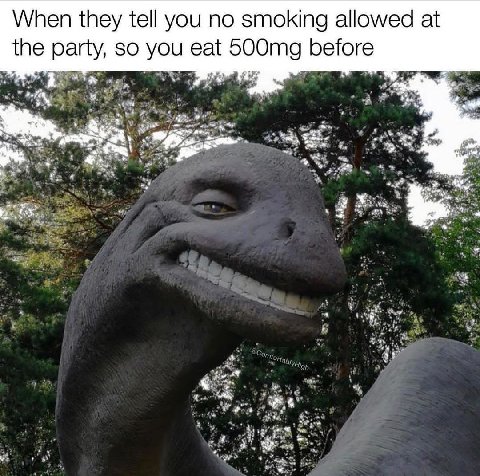 When they tell you no smoking allowed at the party, so you eat before