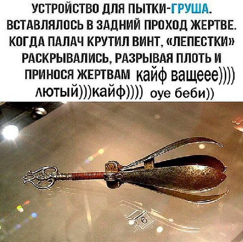 УСТРОЙСТВО ДЛЯ ПЫТКИ-ГРУША. ВСТАВЛЯЛОСЬ В ЗАДНИЙ ПРОХОД ЖЕРТВЕ. КОГДА ПАЛАЧ КРУТИЛ ВИНТ, «ЛЕПЕСТКИ» РАСКРЫВАЛИСЬ, РАЗРЫВАЯ ПЛОТЬ И ПРИНОСЯ ЖЕРТВАМ ващеее)))) лютый)))кайф)))) оуе беби)) я