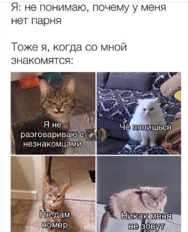 Я: не понимаю, почему у меня нет парня Тоже я, когда мной знакомятся: Я не пялишься незнакомцами Никакаменя номер