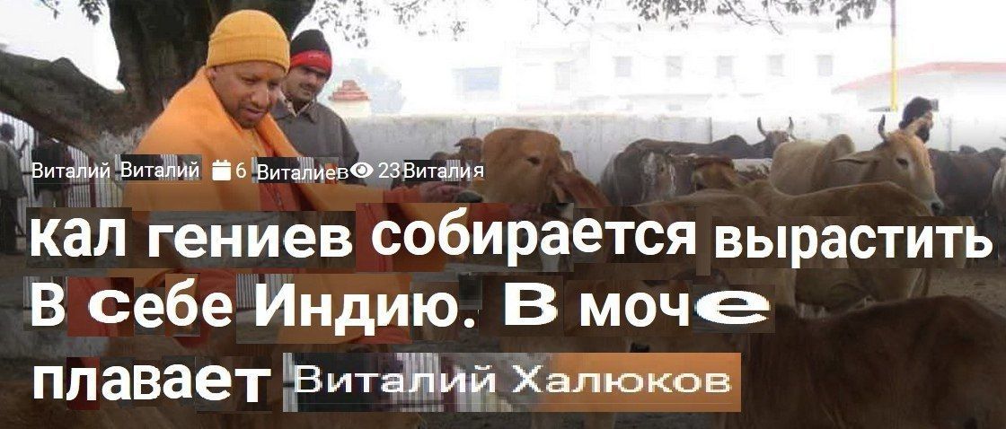кал гениев собирается вырастить В себе Индию. В моче плавает халюков