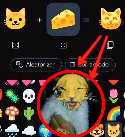 О Aleatorizar odo