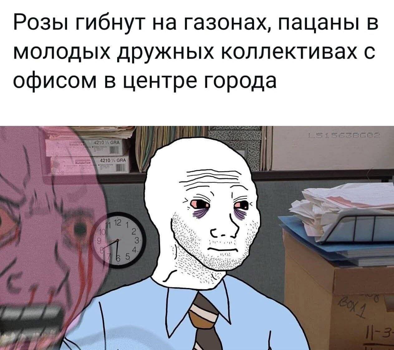 Розы гибнут на газонах, пацаны в молодых дружных коллективах с офисом в центре города A