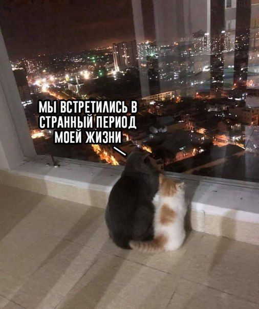 МЫ ВСТРЕТИЛИСЬ В СТРАННЫЙ ПЕРИОД ЖИЗНИ»