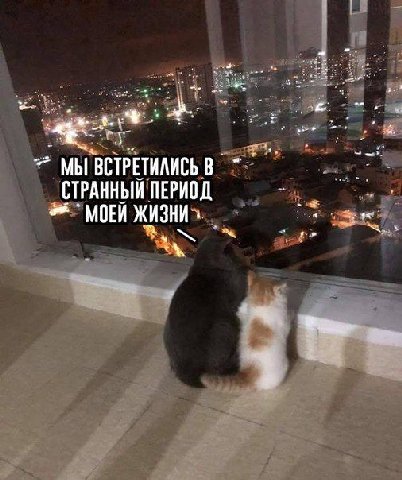 МЫ ВСТРЕТИЛИСЬ В СТРАННЫЙ ПЕРИОД ЖИЗНИ»