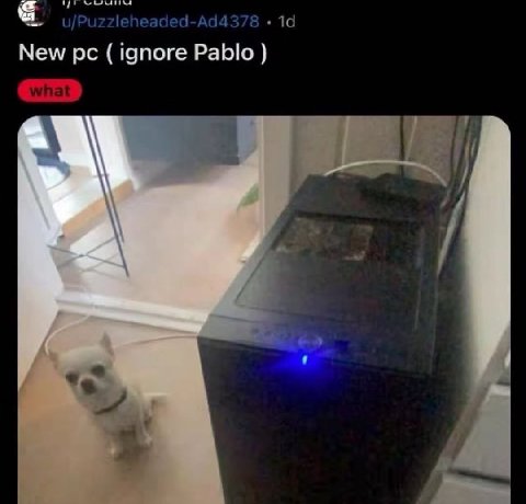 New ignore Pablo