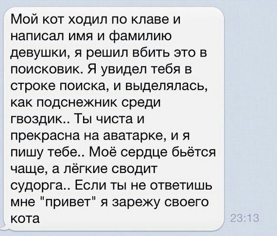 Мой кот ходил по клаве и написал имя и фамилию девушки, я решил вбить это в поисковик. Я увидел тебя в строке поиска, и выделялась, как подснежник среди гвоздик.. Ты чиста и прекрасна на аватарке, и я