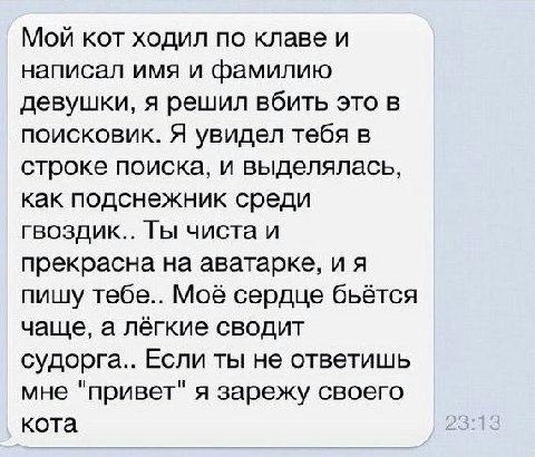 Мой кот ходил по клаве и написал имя и фамилию девушки, я решил вбить это в поисковик. Я увидел тебя в строке поиска, и выделялась, как подснежник среди гвоздик.. Ты чиста и прекрасна на аватарке, и я