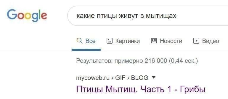 какие птицы живут в мытищах Google О. Все Картинки Новости Видео Результатов: примерно 216 000 (0,44 сек.) mycoweb.ru GIF» BLOG Птицы Мытищ. Часть 1 Грибы