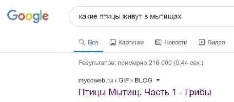 какие птицы живут в мытищах Google О. Все Картинки Новости Видео Результатов: примерно 216 000 (0,44 сек.) mycoweb.ru GIF» BLOG Птицы Мытищ. Часть 1 Грибы
