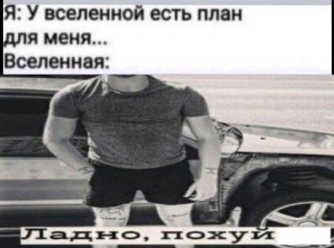 Я: У вселенной есть план для меня... Вселенная: А