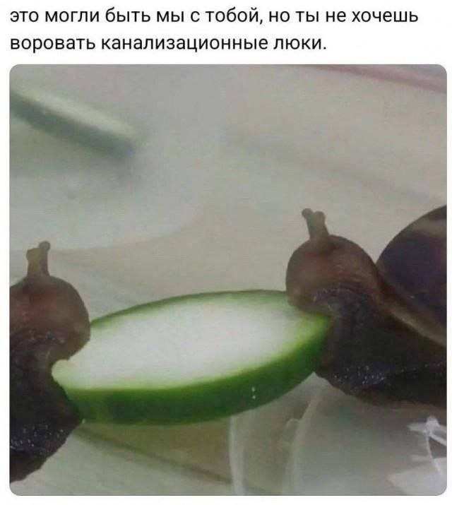 это могли быть мы с тобой, но ты не хочешь воровать канализационные люки.