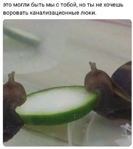 это могли быть мы с тобой, но ты не хочешь воровать канализационные люки.