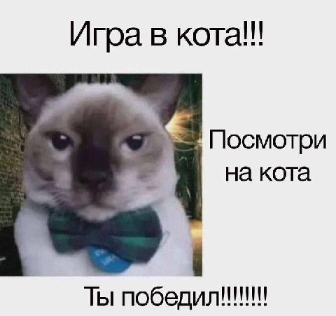 Игра в кота!! Посмотри на кота Ты