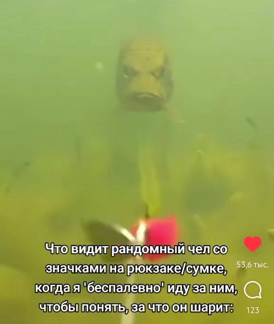 Что видит рандомный чел 53,6 ТЫС значками на рюкзаке/сумке, когда я 'беспалевно' иду за ним, чтобы понять, за что он шарит: 123