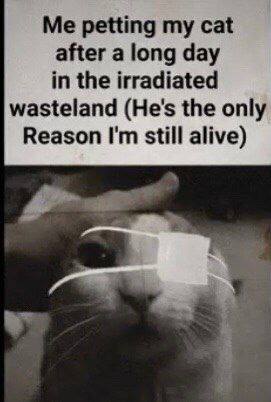 petting my cat after a long day in the irradiated wasteland (He's the only Reason still alive)