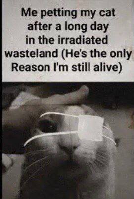 petting my cat after a long day in the irradiated wasteland (He's the only Reason still alive)