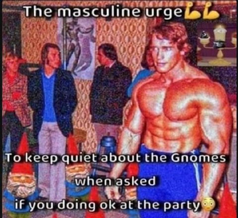 ТБе masculine огде 7 4 4 4 To keep quict about the Gnomes when asked у iF you doing at the party