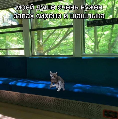 моеи очень ужен запахе ыка и if