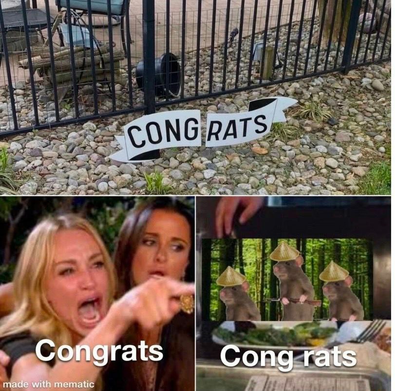 A Congrats Cong rats made with mematic