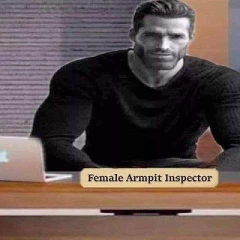 Female Armpit Inspector