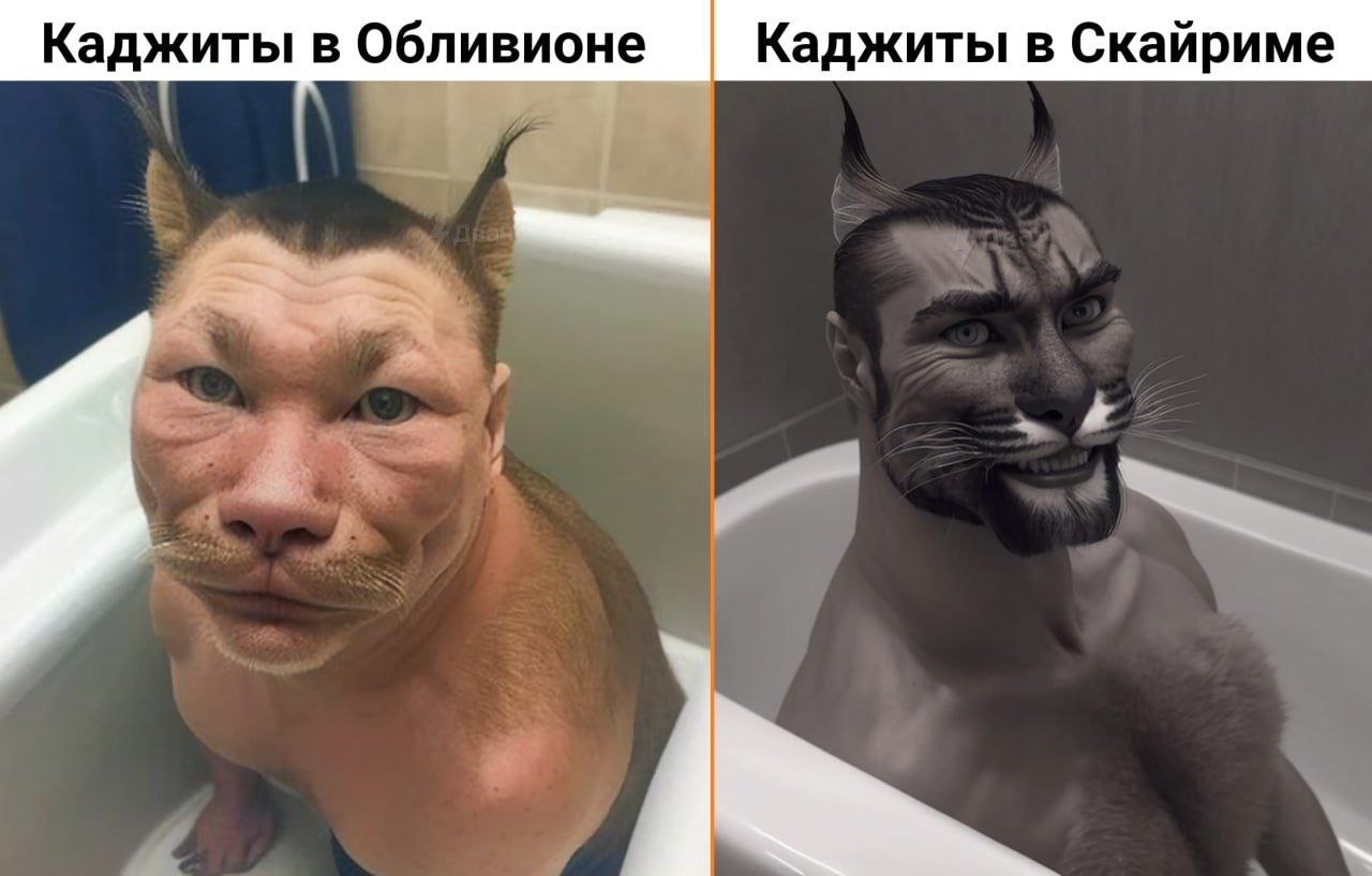 Каджиты в Обливионе Каджиты в Скайриме